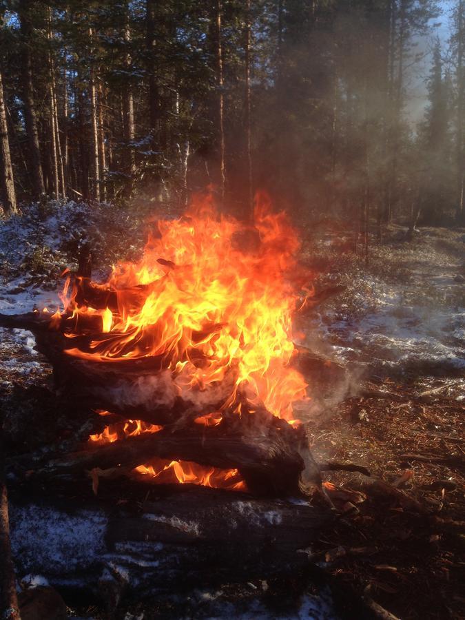 Ranta Aeaerelae Villa Vuotso Kültér fotó